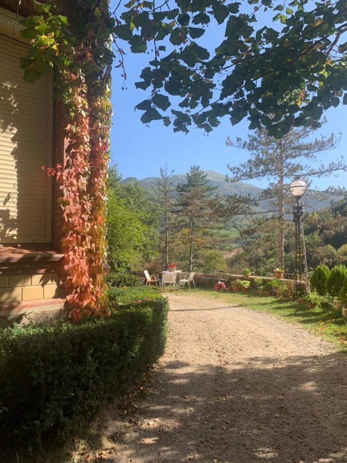 Al Bosc I Bones Vistes Ribes De Freser