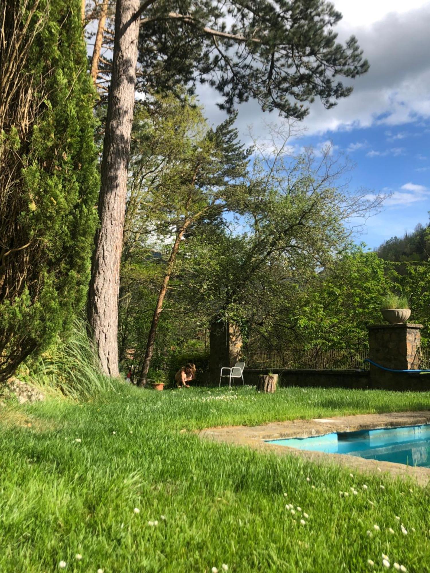 Al Bosc I Bones Vistes Apartment *